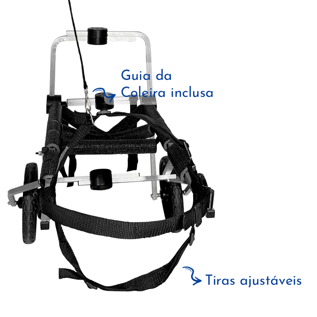 Cadeira De 2 Rodas Cachorro Tam Xg Grande Paraplegia Pata Traseira Paralisia Pet Best Soluções
