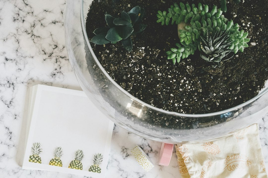 Ambiente Frio e Sem Vida? Descubra Como o Vaso Aquário de Vidro de 2,8 Litros Transforma Sua Decoração com Natureza e Elegância