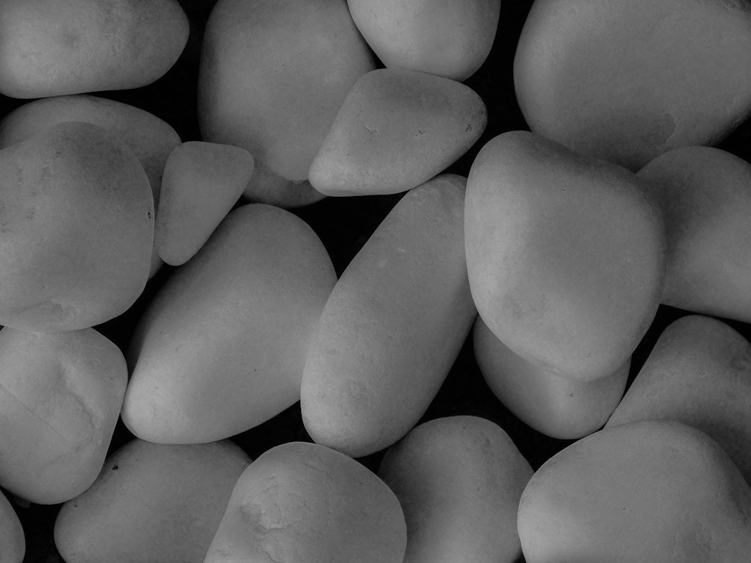 Jardim Sujo de Terra, Canteiros Com Ervas Daninhas e Vasos Apagados? Descubra Como o Seixo Branco Dolomita Premium Transforma Sua Decoração e Protege Suas Plantas
