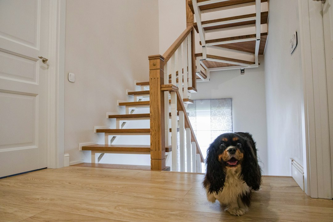 Casa Protegida e Pets Saudáveis: Guia de Segurança Doméstica, Delimitação de Espaços e Proteção Preventiva