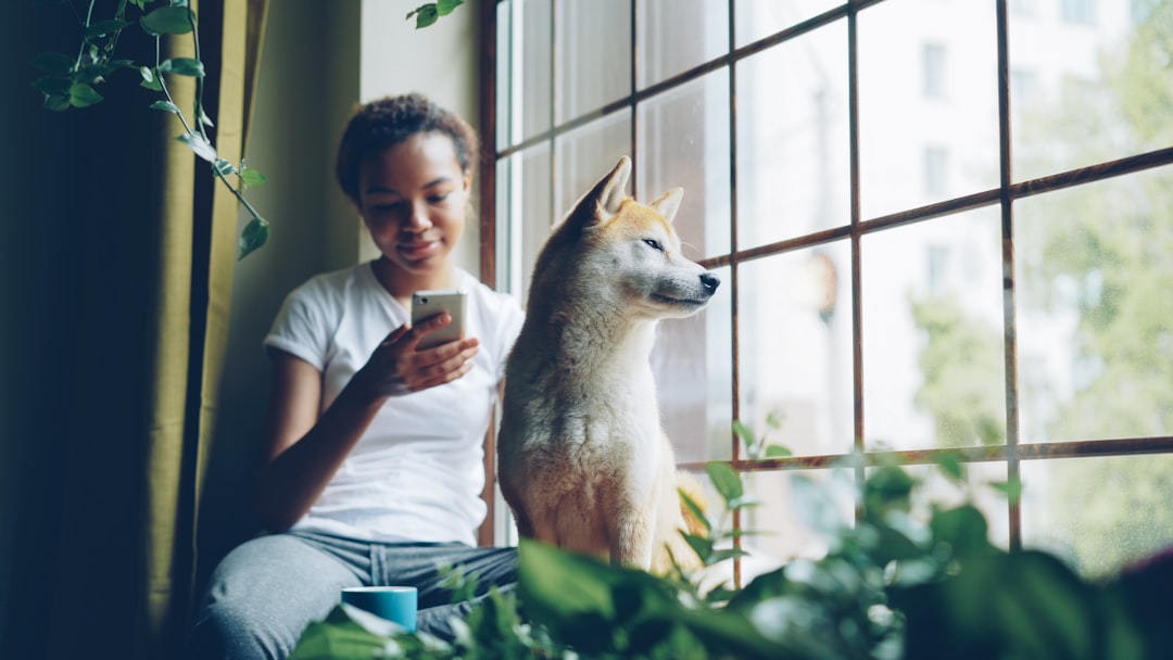 Guia da Vitalidade Pet: Como Proteger a Imunidade, Estimular a Atividade e Garantir o Bem-Estar de Cães, Gatos e Aves em Casa