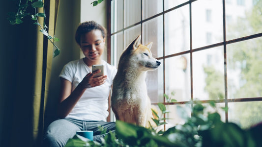 Guia da Vitalidade Pet: Como Proteger a Imunidade, Estimular a Atividade e Garantir o Bem-Estar de Cães, Gatos e Aves em Casa
