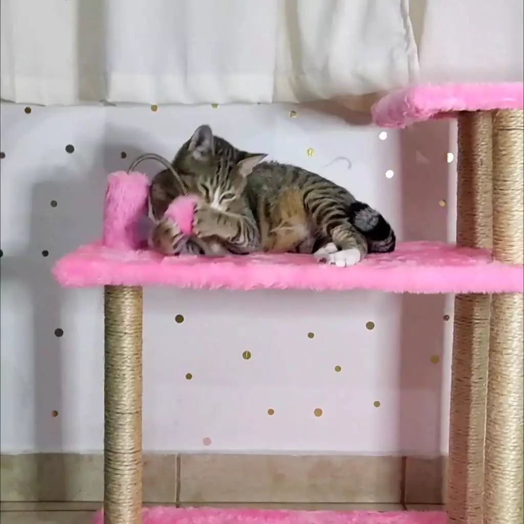 Arranhador Para Gatos 3 Bases - Miupet