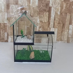 Aquario Beteira Castelo Para Peixe Betta decorado pedrinhas e planta artificial