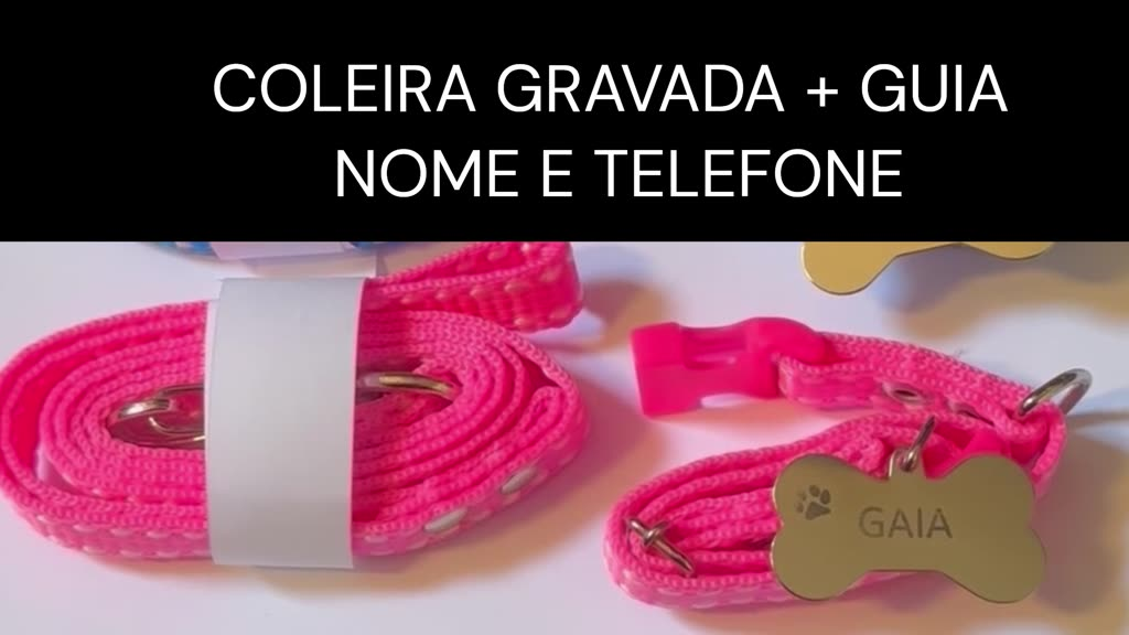 Coleira Para Cachorro Pet Nome Gravado + Guia + Plaquinha De Identificação