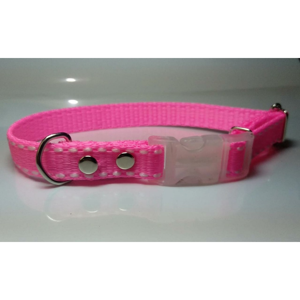 Coleira Pet Nome Gravado E Telefone