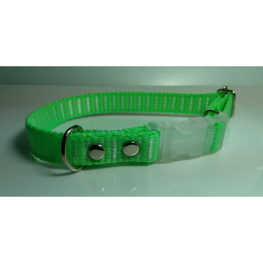 Coleira Pet Nome Gravado E Telefone