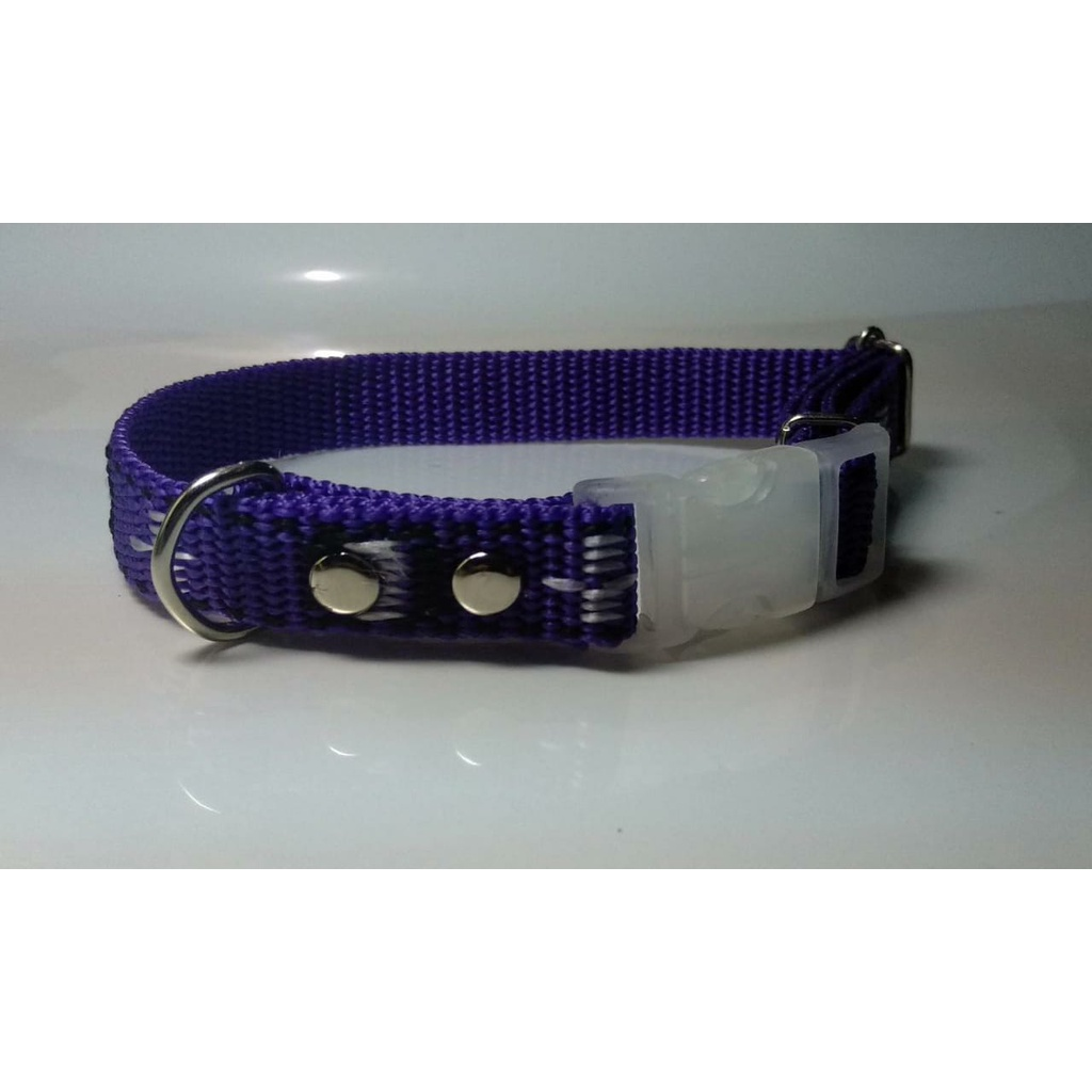 Coleira Pet Nome Gravado E Telefone
