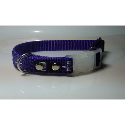 Coleira Pet Nome Gravado E Telefone