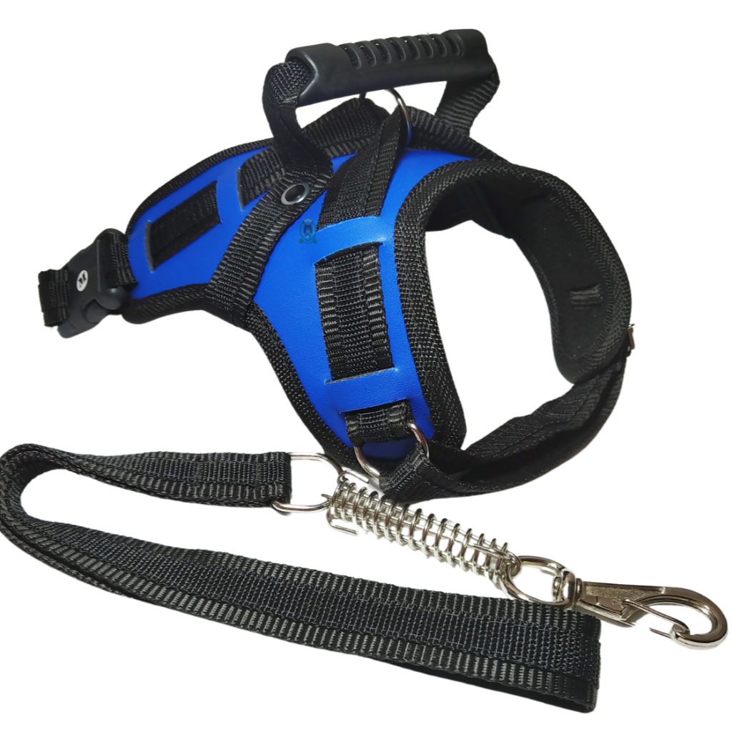 Coleira Pet Resistente Para Cachorro Pitbull Labrador Dogo Rottweiller + Guia Peitoral De Cão Husky