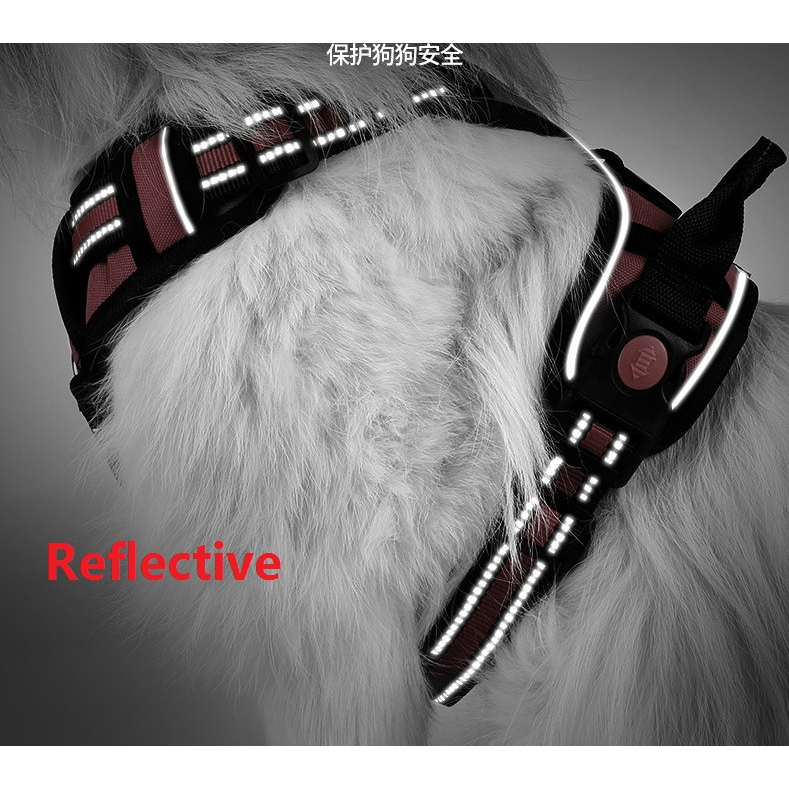 Peitoral Coleira Super Reforçada Refletiva C/ Regulagem Cachorro Grande e Médio Porte Passeio Pet LR-0189