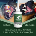 Anti Tártaro Lavizoo para Cachorro e Gatos 100g - Pet Caixas