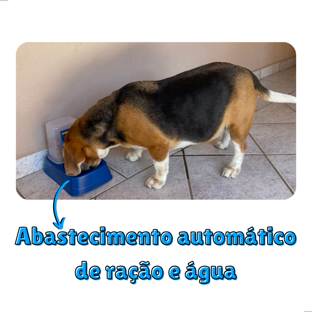 Kit Comedouro/Bebedouro Dupla Função Dispenser Automático 1 Kg Ração/1,5 Litros Água Cães e Gatos