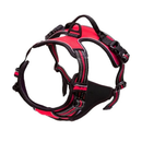Peitoral Coleira Super Reforçada Refletiva C/ Regulagem Cachorro Grande e Médio Porte Passeio Pet LR-0189