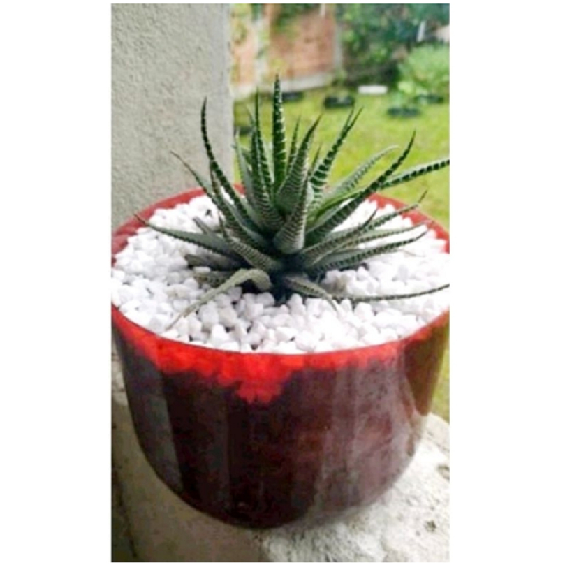 3 Kg - Pedra Branca Para Decorações, jardins e vasos em geral