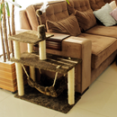 Kit Gato Grande Casa com Rede e Arranhador 3 Bases Sisal