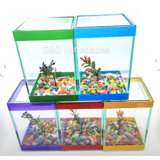 aquário beteiras lembrancinha para aniversário 10x10x13 para peixe betta kit com 6 und