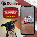 Almofada Pet 50x60 cachorro Gato Cama Conforto Colchonete Quadriculado