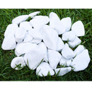 Kit 2x Pedra Dolomita Branca Seixo Decorativa para Vasos e Jardins Ornamentais - 1,8 kg