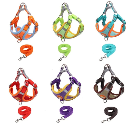 Coleira Peitoral Para Cachorro Pequenos E Médios Com Guia Para Pet Colete Confortável