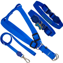 coleira com nome kit personalizado peitoral com guia cachorro