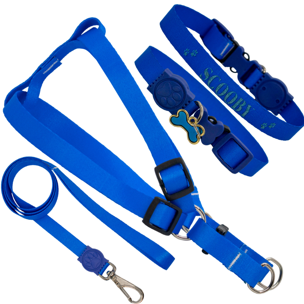 coleira com nome kit personalizado peitoral com guia cachorro