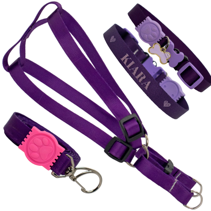 Coleira Com Nome Kit Personalizado Peitoral Com Guia Cachorro