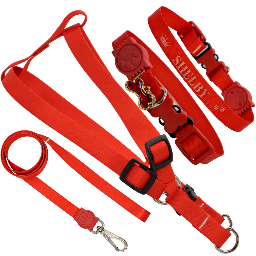 Coleira Com Nome Kit Personalizado Peitoral Com Guia Cachorro