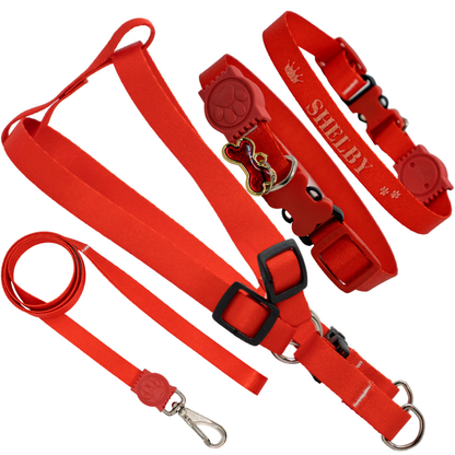 Coleira Com Nome Kit Personalizado Peitoral Com Guia Cachorro