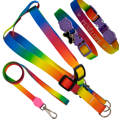 Coleira Com Nome Kit Personalizado Peitoral Com Guia Cachorro