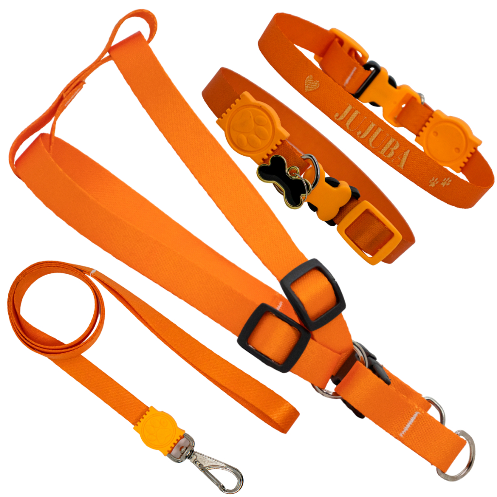 Coleira Com Nome Kit Personalizado Peitoral Com Guia Cachorro