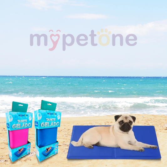 Tapete Gelado Médio e Grande Mypetone - Azul e Rosa