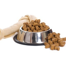 Comedouro Inox Para Câes E Gatos - Pote Comida Ração Água Vasilha Inox Antiderrapante