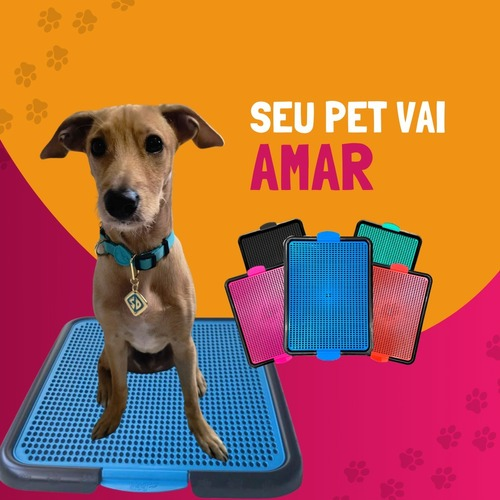 Sanitário Higiênico Canino Pet Educador Xixi Sim Tapete Higiênico Cachorro Grande Banheiro