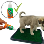 2x Educador Pet Sanitario Xixi AQUI PODE para Cachorro Cheiro Citrico
