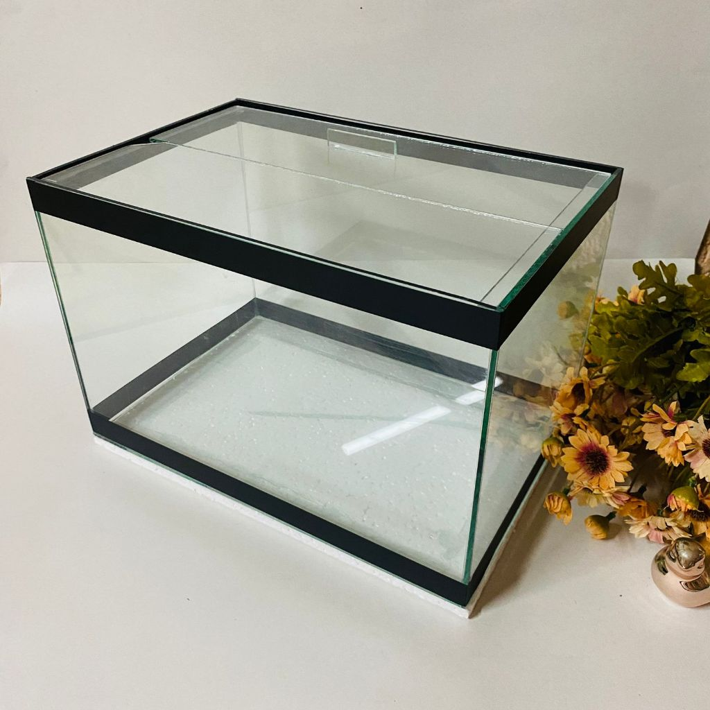 Aquário de peixes 20 Litros 40x20x25cm | Ideal para Peixes Ornamentais Vidro 3mm Produto já montado