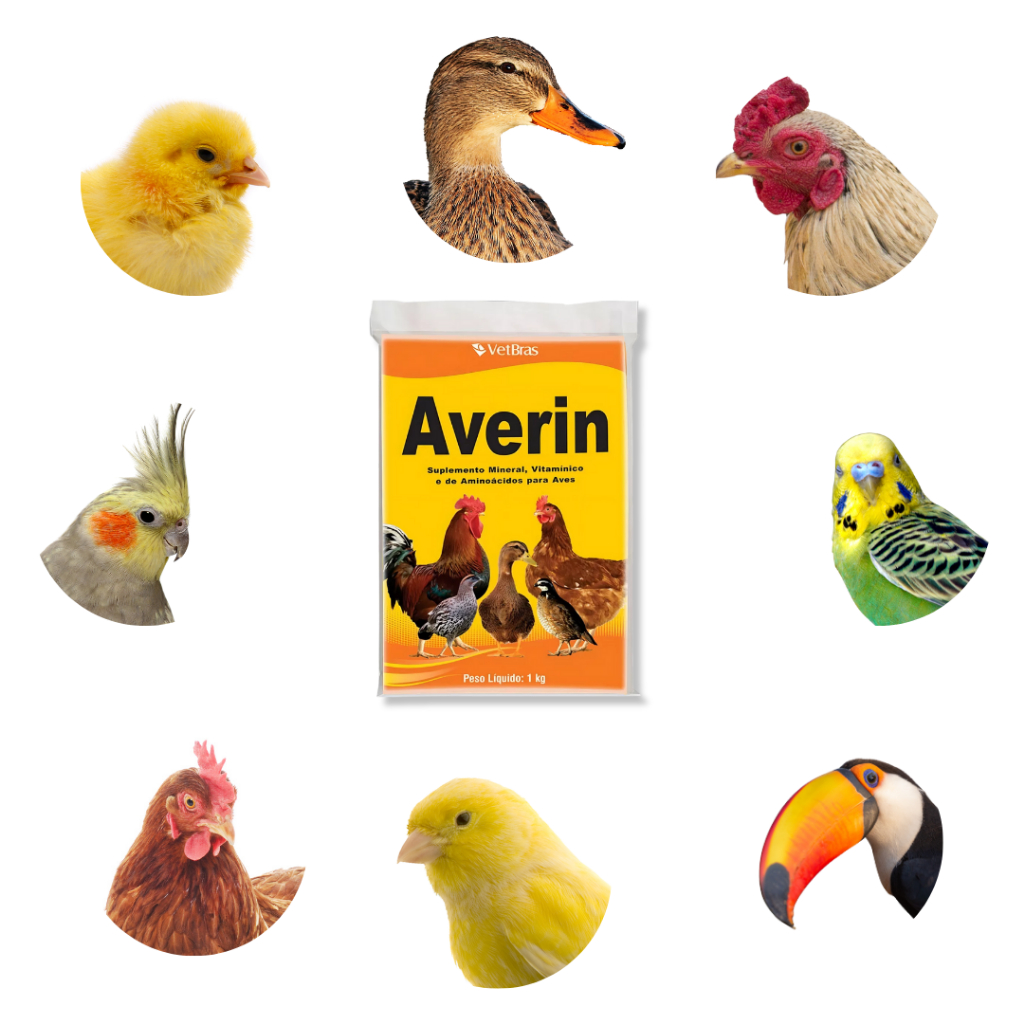 Suplemento Vitamínco Aminoácido E Mineral Para Frango Galinha Aves Averin 1Kg Tratamento Coccidiose