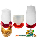Bebedouro Automático Galinha e Aves 1 - 2 e 5 Litros