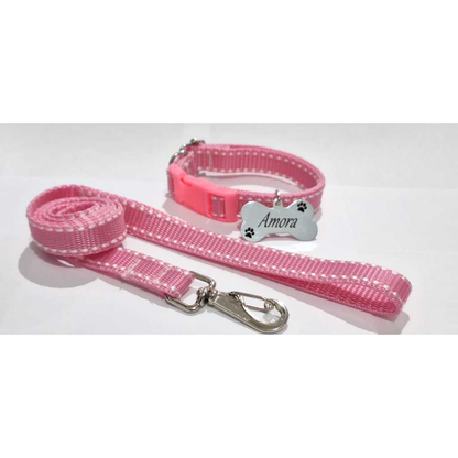 Coleira Para Cães Ou Gatos Com Guia + Plaquinha De Identificação Gravada