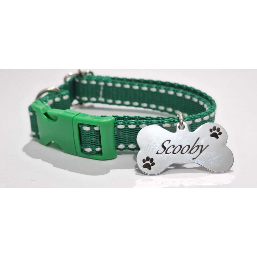 Coleira Para Cães E Gatos Com Plaquinha De Identificação Gravada!!!