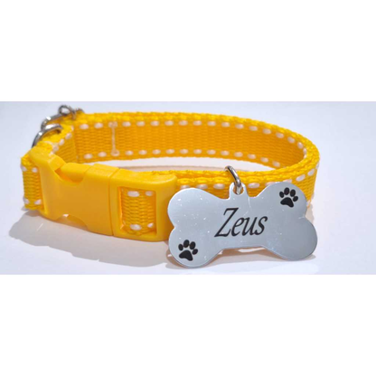Coleira Para Cães E Gatos Com Plaquinha De Identificação Gravada!!!