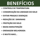 Pedra Seixo Branco de Jardim Dolomita 05 kg - PREÇO DE FABRICA - Para decoração de vasos e jardins