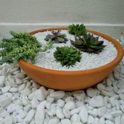 Pedra Seixo Branco de Jardim Dolomita 05 kg - PREÇO DE FABRICA - Para decoração de vasos e jardins