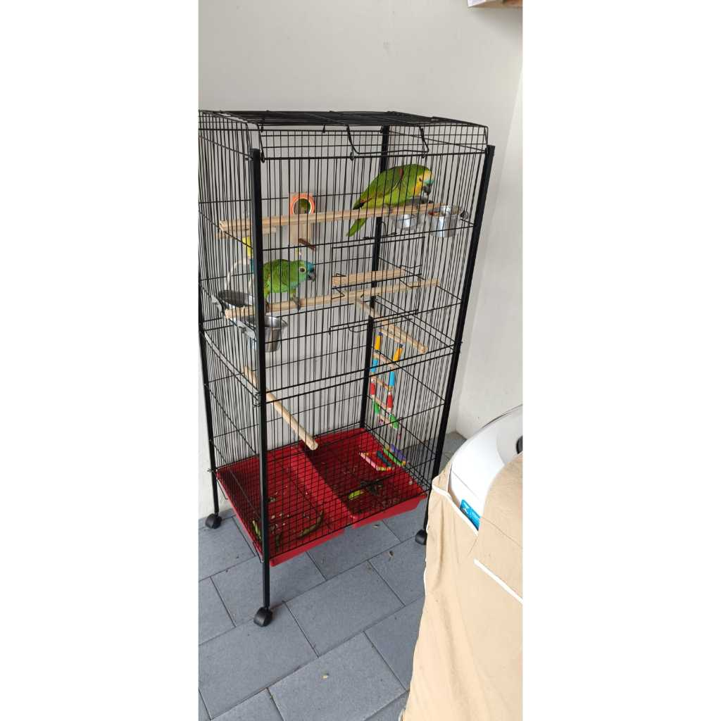 Viveiro grande Papagaio - Calopsita - Ringneck