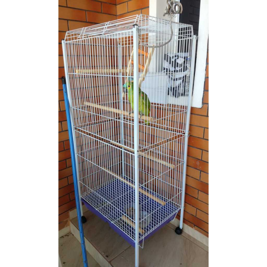 Viveiro grande Papagaio - Calopsita - Ringneck
