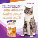 Advocate Elanco 0,8 mL para Gatos de 4 a 8 Kg - 3 Bisnagas