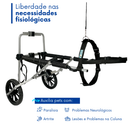 Cadeira De 2 Rodas Cachorro Tam Xg Grande Paraplegia Pata Traseira Paralisia Pet Best Soluções