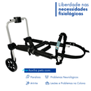Coleira Cadeira De 2 Rodas Cachorro Tam M Médio Deficiente Paralisia Cão Regulável Pet Best Soluções