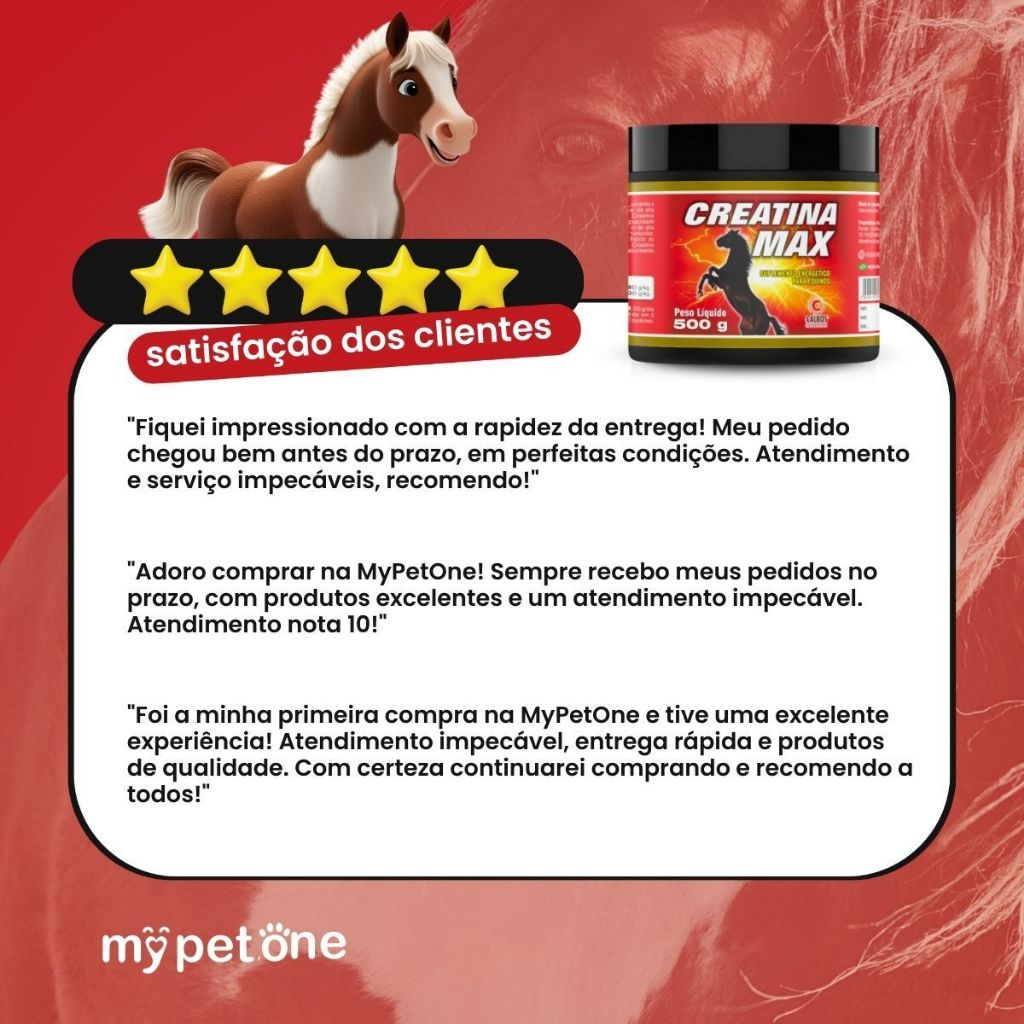 Creatina Max Calbos Suplemento para Cavalos Atletas - 500g