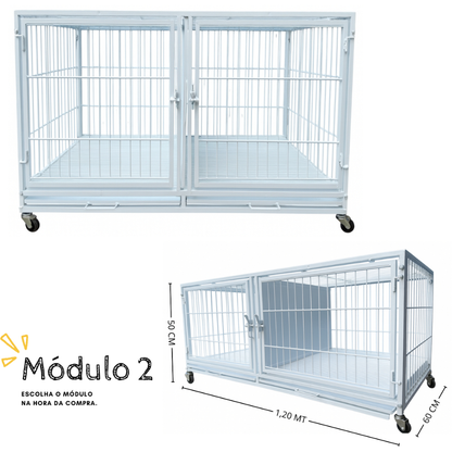 Canil Modular Pet Shop e Veterinária com Opções de Módulos